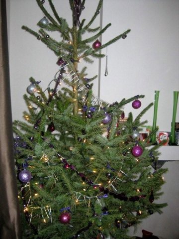 De kerstboom
